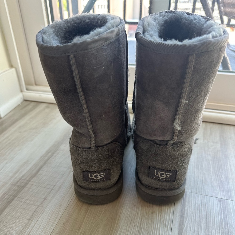 Classic gray short UGG boots